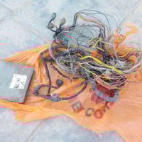 غراض ونجي    07813285068