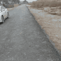 يالله توكلنا على الله وهو خير الرازقين اخوان كلشي واضح ب الفيديو اسمع ...