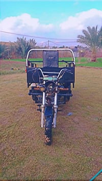 ستوته • نضيفه • القاسم