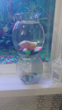 حوض صغير • حوض كبير • قرب مجمع عضومي