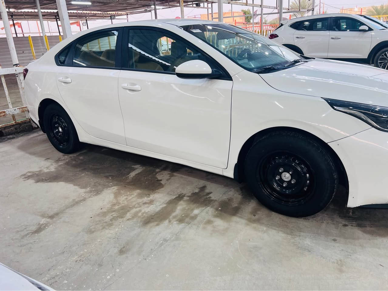 سيراتو 21 موديل خليجي مكينه 1600 قتصاديه 
رقم جديد وهزه وفحص كله جديد سياره بيه يم رقم قبق جنطه صبغ فقط وبارد بل جاملغ سياره جيده وحلوه تخم تاير جديد تبريد ثلج حداديه جديده سياره نضيفه والبيع او مراوس شراي يتصل ويدلل مكاني نجف الاشرف 
*********** النجف, العراق
