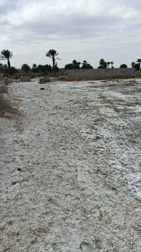 دونم • غرفتين • قرب ملعب السنبلة