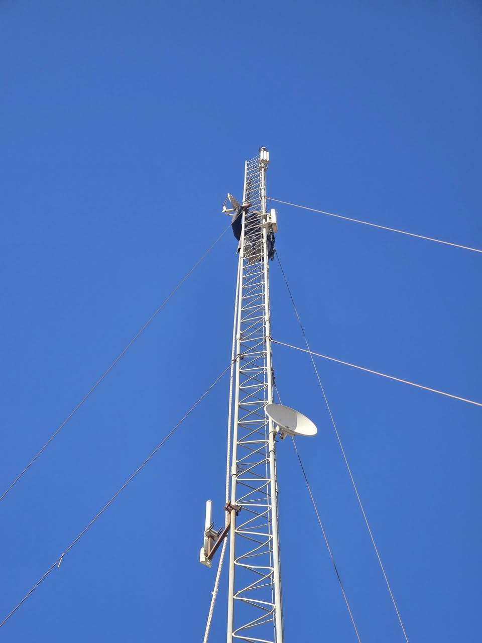 تم تفصيخ ونصب عده ابراج مسيب.
***********
