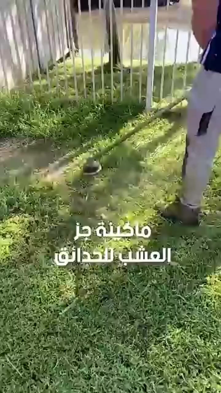 سعره 30


**إذا كنت صاحب هذا الإعلان وتريد حذفه لأي سبب، رجاءا أرسل رسالة إلى الدعم الفني**