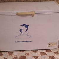 مجمدة • حجم كبير • نجف حي السلام