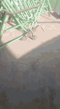 تفاصيل بتعليق.مكاني غزاليه 07705281230