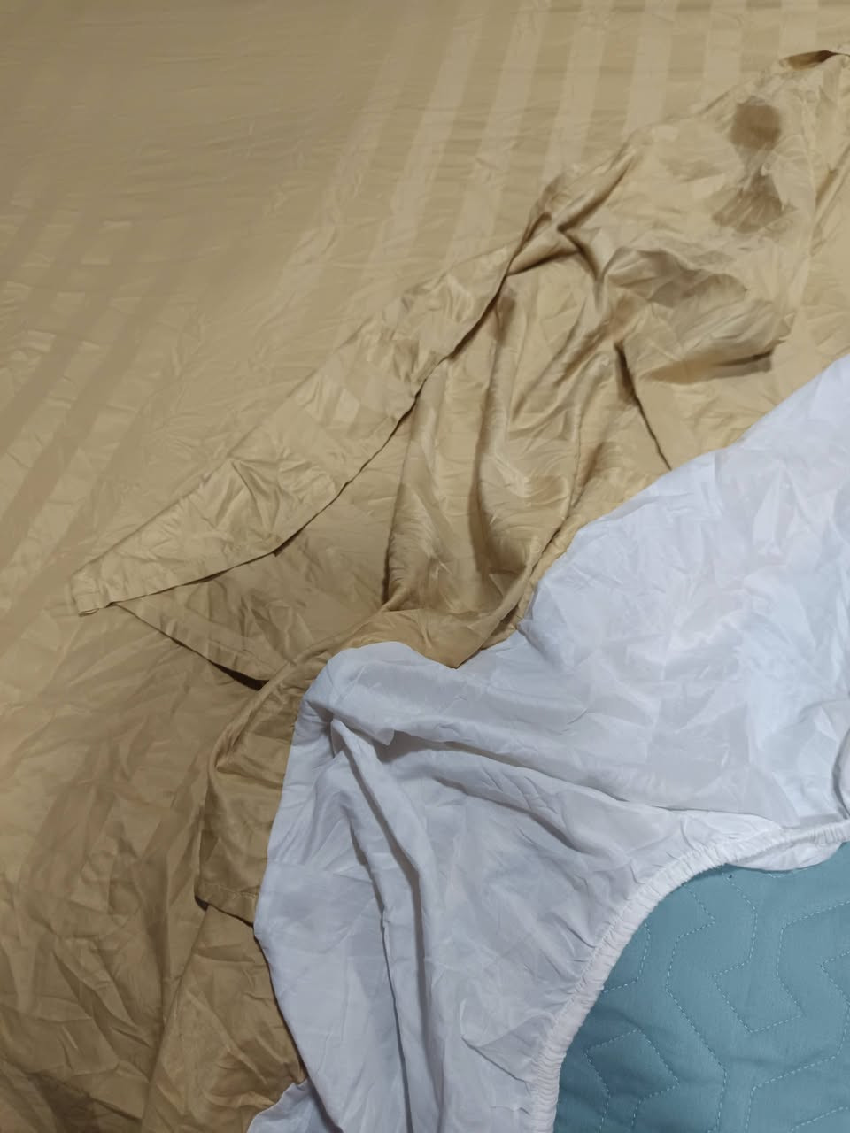 فرشات وجراجف نفر ونفرين ابيعهن جمله عندي 37 قطعه كلهن ب30الف


**إذا كنت صاحب هذا الإعلان وتريد حذفه لأي سبب، رجاءا أرسل رسالة إلى الدعم الفني**