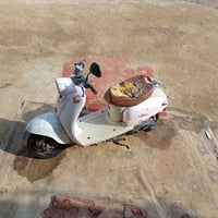 دراجة مصرية • كهربائية شغالة • سوق الشيوخ