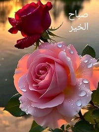 الجنينة • ١٧٠م • بناء حديث