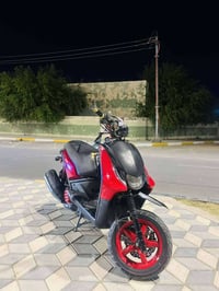 سكنس • جبلي • ٢٠١٤