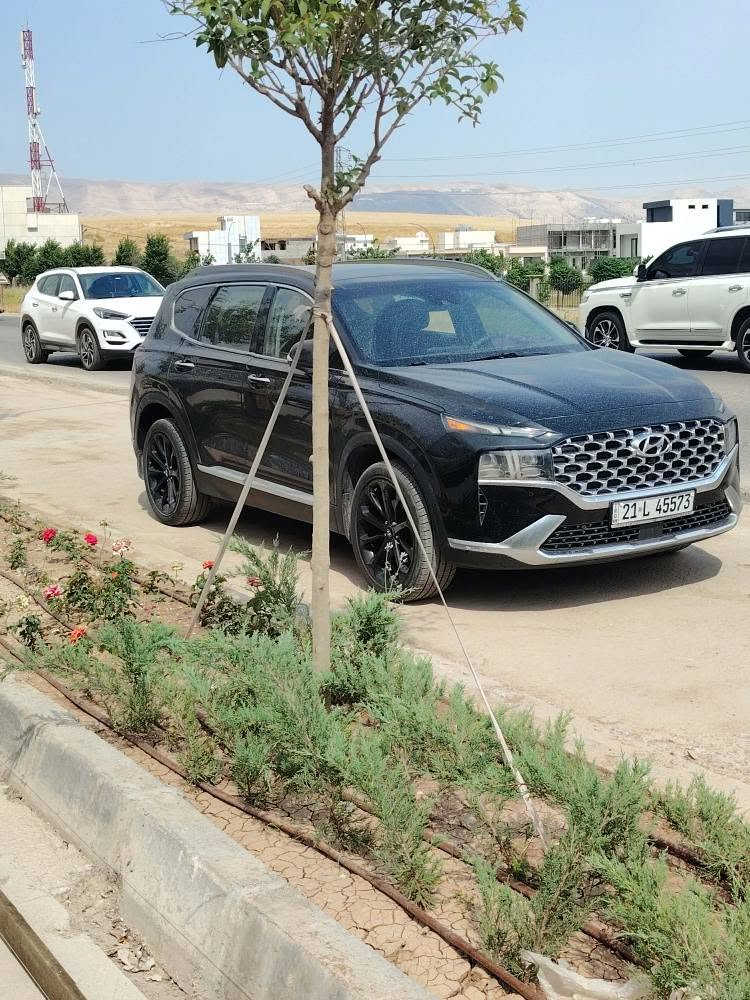 نداي سانتافي (ستيشن) موديل 2023 - فول فول مواصفات
​المحرك: 2.5 توربو
​المواصفات الكلية:
​سقف بانوراما
​نظام إطفاء وتشغيل المحرك التلقائي (Auto Start/Stop)
​نظام الأوتو هولد (Auto Hold)
​مرايا جانبية شفط (طوي كهربائي)
​نظام الحفاظ على المسار (خط جادة)
​مثبت سرعة (تعديد سرعة)
​رادار أمامي مع بريك تلقائي (حاسة أمامية تضرب بريك بوحدها)
​كراسي ميموري (خزن)
​رادارات، حواسين، وكاميرات 360 درجة
​تدفئة مقود (سوكان ويتر) مع كراسي تدفئة وتبريد
​نظام القيادة والتحكم عن بعد بالريموت (تروح وتجي بالريموت)
​الوضع الحالي والنظافة:
​الماشية: 82 ألف كم (سيارة نظيفة جداً وعلى الشرط)
​الصبغ (البوياغ): 3 قطع صبغ (باب الصدر، الباب الخلفي لجهة الصدر، والجاملغ الخلفي).
​ملاحظة: الضربة كانت مجرد شخوط وتعديل (لخشانة) بدون أي ضرر بالشاسي أو البدن الداخلي، الضربة صايرة جوة يدة الباب.
​الإيرباك: إيرباك الكتف (البردة) طاير ومصلح وراجع سيستم كامل (مفتوح ومصلح نظامي).
​الجاملغ الأمامي بيه تعديل بارد خفيف (PTR).
​الأوراق والمسائل القانونية:
​السنوية باسمي وتحويل مباشر.
​السنوية جديدة ومجددة لغاية سنة 2031.
​السيارة رقم واحد (يعني من دخلت العراق ترقمت باسمي ومستعملة إيد وحدة).
​السيارة جاهزة وما تحتاج أي مصاريف.
​السعر: 225 ورقة (22,500$) وبيه مجال قليل جداً للشراي.
***********وتسئاپ شمشمل, السليمانية

