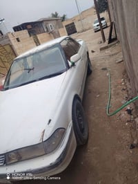 مارك كصيف • نقل جثه • بصره سفوان