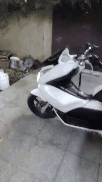 سلام عليكم جيل لاول سعر 900لاف عنوان بلديات ***********
