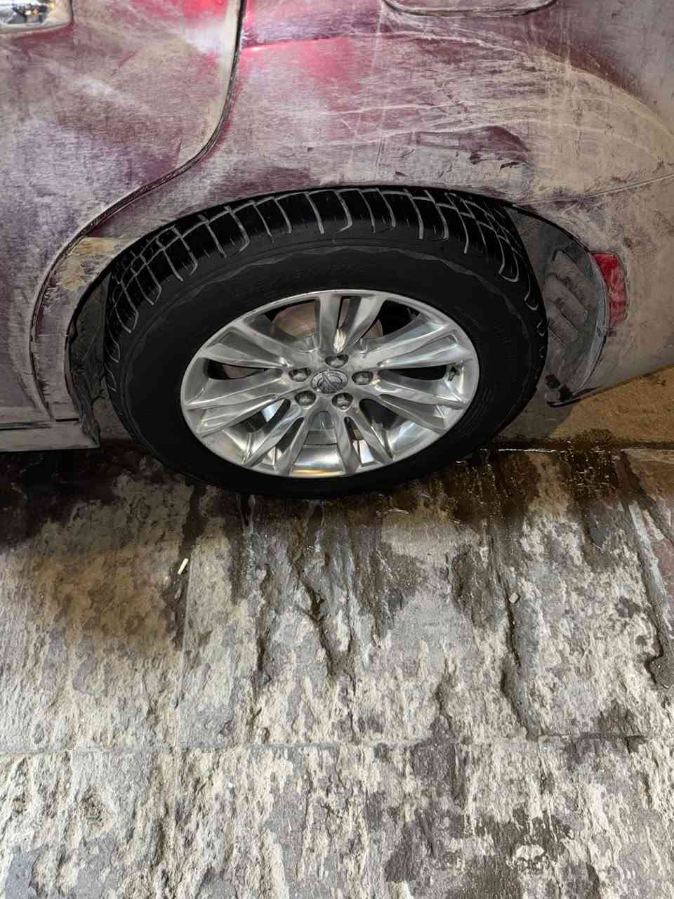 السلام عليكم تخم مكسيكي اصلي واحد منهن بي شخط وعواج هوه نفسه التك مال حاويه ستوني شديتهن للبيع مكاني بغداد ***********
