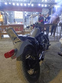 هارلي فيراكو • اوراق كاملة • كمرك مدفوع