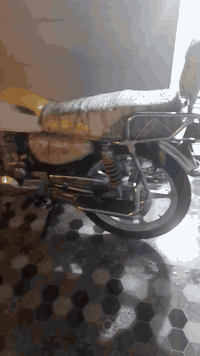 سلام عليكم ورحمة الله دراجه البيع درجه بارت واضح شوفت الدرجه بل فيديو سعر الدراجه  350 وبيه مجال اتصل عل هاذ الرقم ***********
