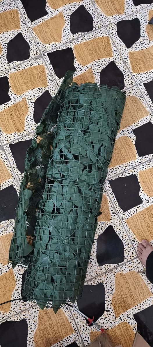 خضار ب١٢


**إذا كنت صاحب هذا الإعلان وتريد حذفه لأي سبب، رجاءا أرسل رسالة إلى الدعم الفني**