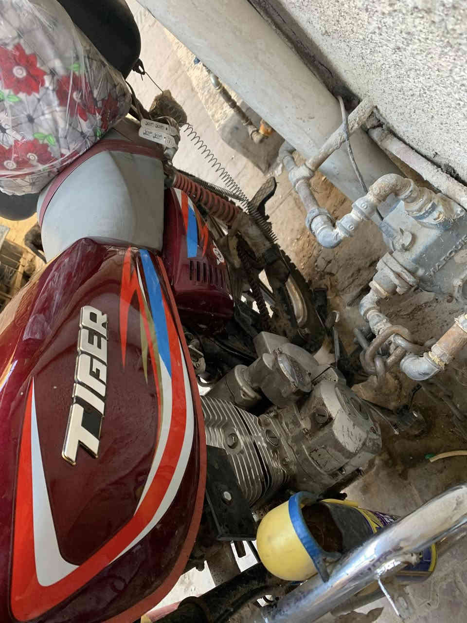 سلام عليكم اخوان دراجه سيفان 2023 دراجه خير مو الله دراجه هاملها يعني بس طابكه بل باب اروح وجي ع كد لحاجه دراجه أوراق مالتهة ضاعت وبيهة نقص واشر مال قبق محرك سعر .500 وبيهة مجال تحياتي الكم ❤️رقم تليفون ***********
