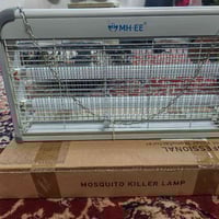 قارصة ذباب • جديدة • بغداد