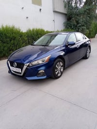 التيما • ٢٠١٩ • كركوك