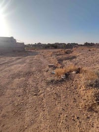 التجنيد • ٤٣٢م • واجهة ١٢