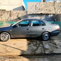 للبيع  فرخ بطة  مصبوغة جمالية : شرط بدون ضرر أو معجون كابون بانزين موج...