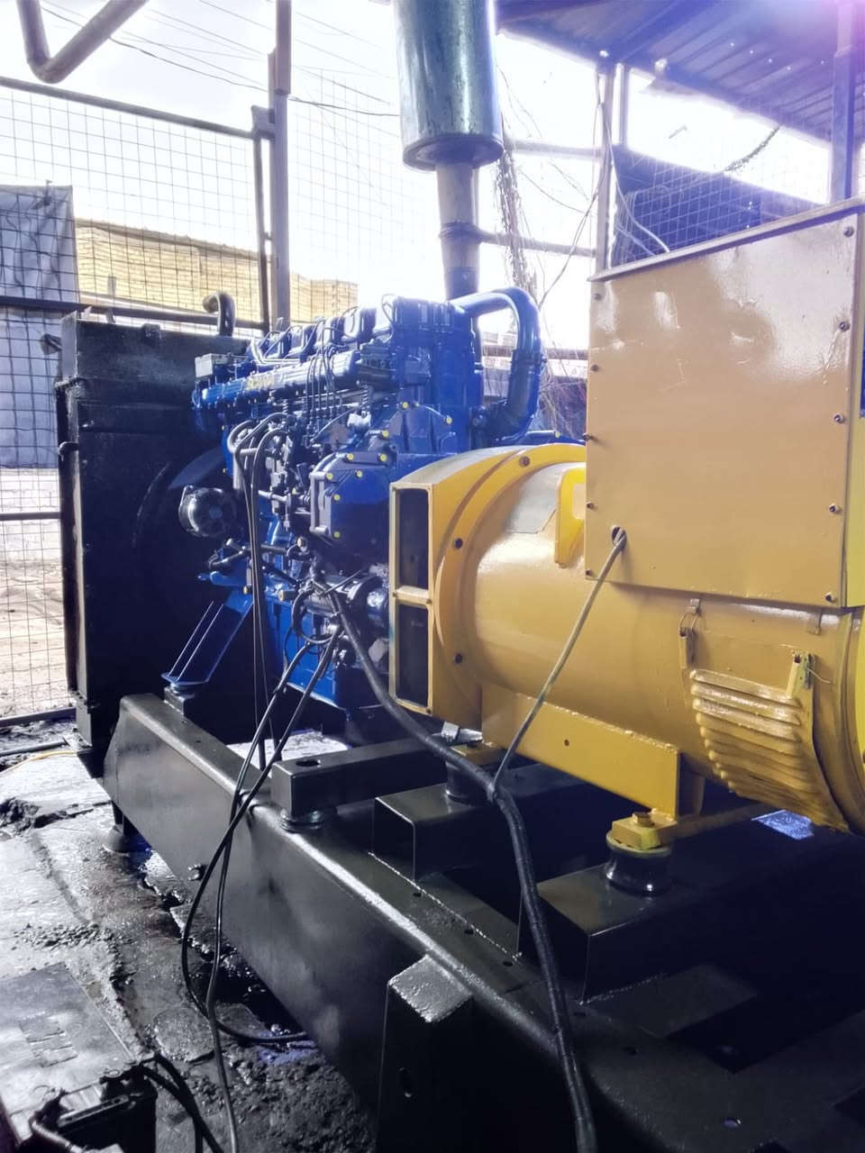 اللبيع سكانيه 124 راس توليد 300خير من الله لأصرف ولا تبخير السعر 65 رقم ***********
