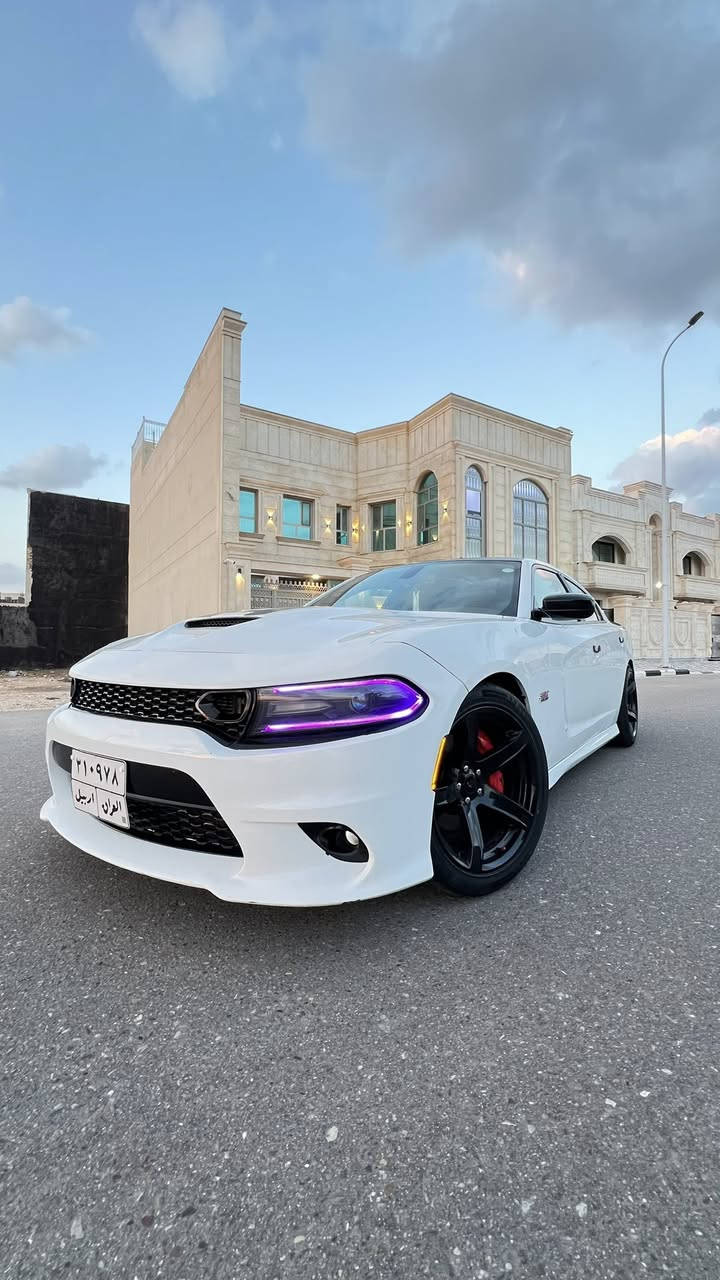 السلام عليكم
جارجر دايتونا 2017 محرك 8 سلندر 5700
قماره اسود بلاد السياره فول مواصفات عدا
الرادار الي بالدعامية رقم اربيل القديم وارد امريكي حادث فقط دعامية امامية بدون 
دواخل بدي السياره كفالة  ماشيه 72mi
المواصفات فتحة شاشة كار بلي الجبيرة
رادار جانبي نقطة عمياء شفتات استرين 
سبورت حساس خلفي كشنات شاموو
تدفئة تبريد خزن ميموري نظام سبورت
مودات رياضيه بالشاشه تشغيل عن بعد
ويل نجمة ابو الخسفه حجم 20
مكان السياره البصرة   استخدام طالب 
جامعي ما داخلة استعراضات ابد 
للاستفسار. ***********
