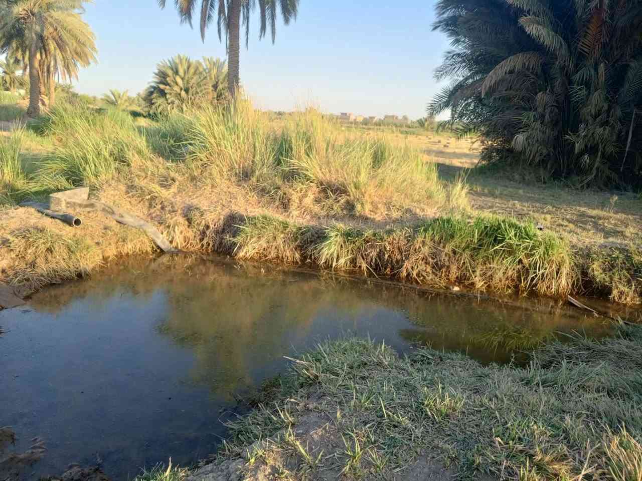 أرض زراعي للبيع خلف جامعة بابل 
3دونم شتحب انطيك دونم اثنين 
صنف الأرض طابو زراعي سند 25 
تحويل مباشر بسمك تبعد عن جامعة بابل 2كيلو 
للاستفسار ***********
