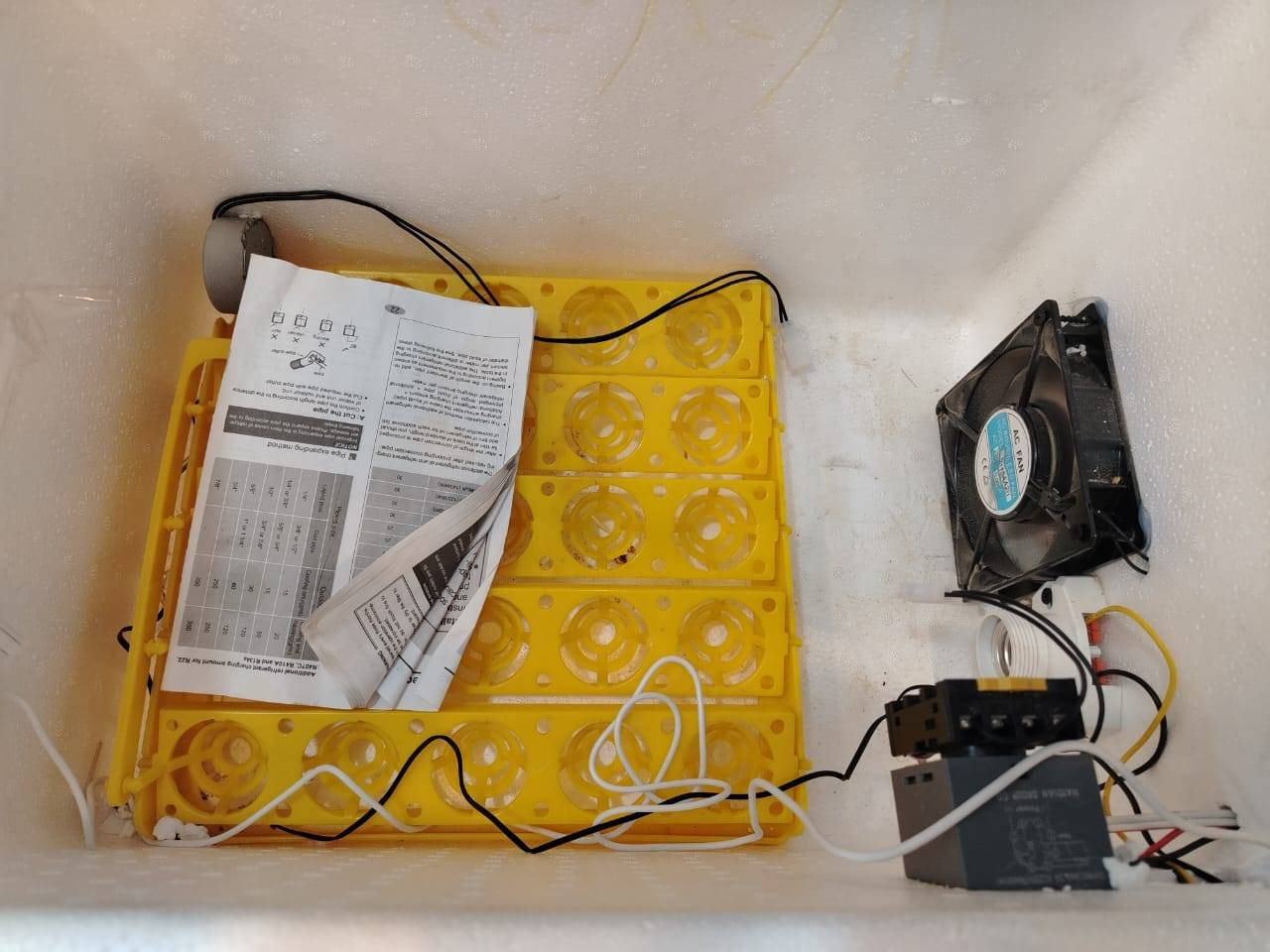 فقاست بيض دجاج سعر 50 وبيه مجال للطيبيين وستخدمه مره واحد ومكان العماره ابوشطيب قم ***********
