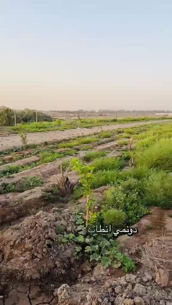 🌿 فرصة لا تُعوّض لامتلاك أرض زراعية مميزة 🌿
السلام عليكم ورحمة الله وبركاته

أرض زراعية للبيع بموقع مميز جداً في الحلة – بداية منطقة إبراهيم الخليل (ع).

✅ مساحة الأرض: 2 دونم
✅ جنس الأرض: طابو زراعي سند 25
✅ تحويل مباشر باسم المشتري من صاحب الأرض
✅ تتوفر جميع الخدمات:
🚰 ماء إسالة
💧 ماء للسقي
⚡ كهرباء

✅ عرض الشارع 10 متر
✅ تبعد عن المجمع أقل من 300 متر فقط
✅ تصلح للسكن أو لإنشاء مزرعة واستثمار ناجح

📍 موقع مميز وهادئ قريب من جميع الخدمات.

للاستفسار أكثر الاتصال على الأرقام التالية:
📞 ***********
📞 ***********

أو مراجعة مكتب بركات إبراهيم الخليل للعقار.
