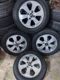 ويل كب كوري • مقاس 14 • افيو اكسنت ريو