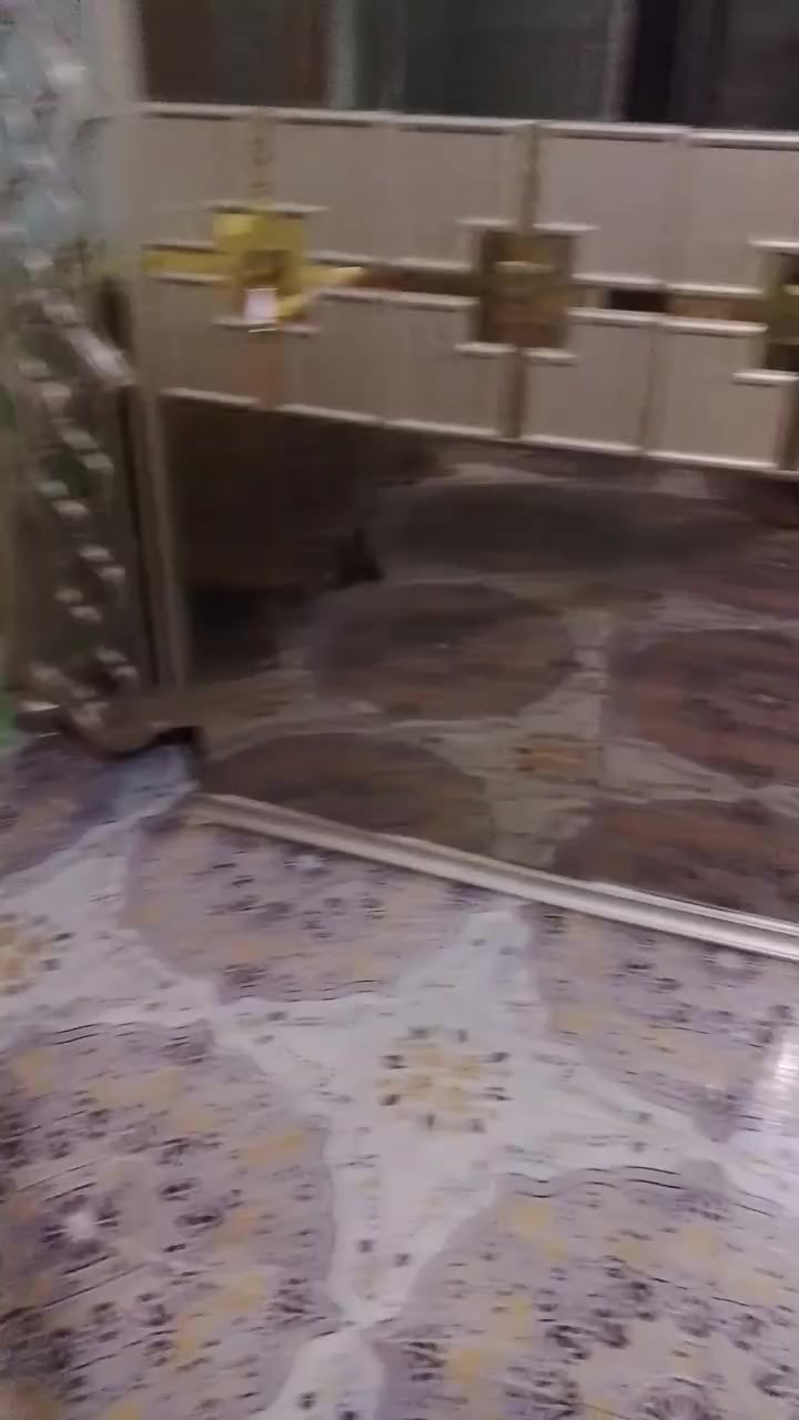 غرفه تركي كلش حلوه نضيفه حيل قفل 900شراي يجي خاص لحد يطي سعر من يمه لمكان طريق لبدعه حي لباقر


**إذا كنت صاحب هذا الإعلان وتريد حذفه لأي سبب، رجاءا أرسل رسالة إلى الدعم الفني**