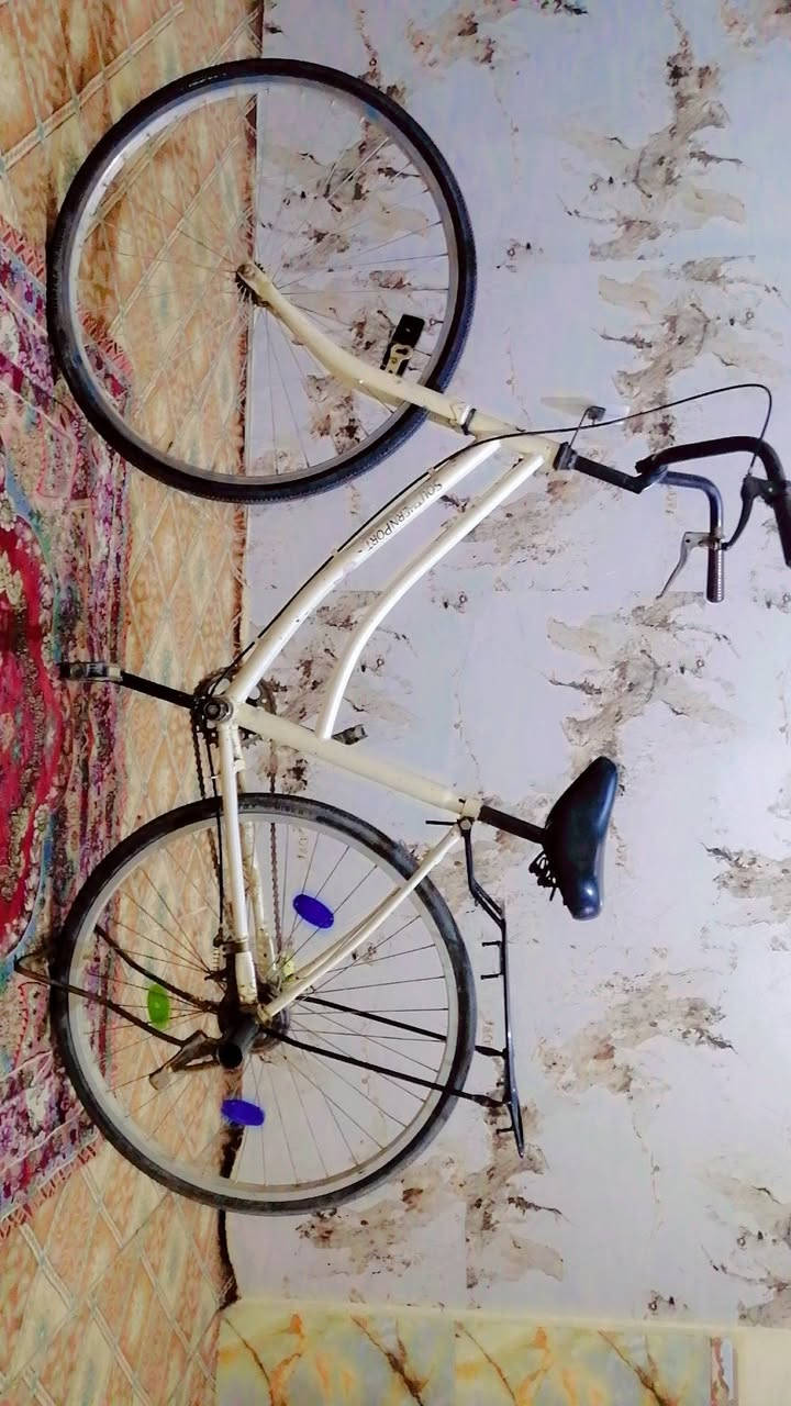 باسكل البيع سعر ٧٠قفل 
مكاني الديوانية  
يم بريد التحدي
يم شارع سالم 
يم جامع هل البيت


**إذا كنت صاحب هذا الإعلان وتريد حذفه لأي سبب، رجاءا أرسل رسالة إلى الدعم الفني**