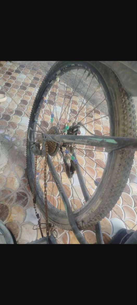 سلام عليكم 
بايسكل للبيع بس بي عطل الكير ومي يأثر اذا تذب الكير وعدا امانت الله كلشي ما بي بايسكل نضيف ومرتب السعر 25 وبي مجال


**إذا كنت صاحب هذا الإعلان وتريد حذفه لأي سبب، رجاءا أرسل رسالة إلى الدعم الفني**