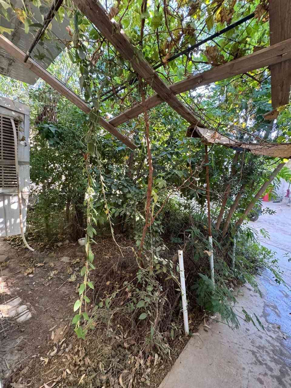 السلام عليكم بيت للبيع مساحته 290متر مربع في الكارظيه قرب مستودع النفط قرب الحولي يبعد عن التبليط 30متر وعن الشط 30متر 3غرف وصاله ومطبخ عكاده الاستقبال صب الصحيات سندويج وبي غرفة ومطبخ منعزلات سندويج بي حديقة مزروعة رمان وتين ورارنج وزيتون وعنب الرارنج ذاب والرمان ذاب الارضيه سيراميك جميع الخدمات بي نت ضوئي اساله كهرباء مولد سحب مستعجل على بيعته البيت مسكون حاليا ***********

