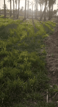 ابو سديره • ٢٥٠٠م • واجهة٤٠م