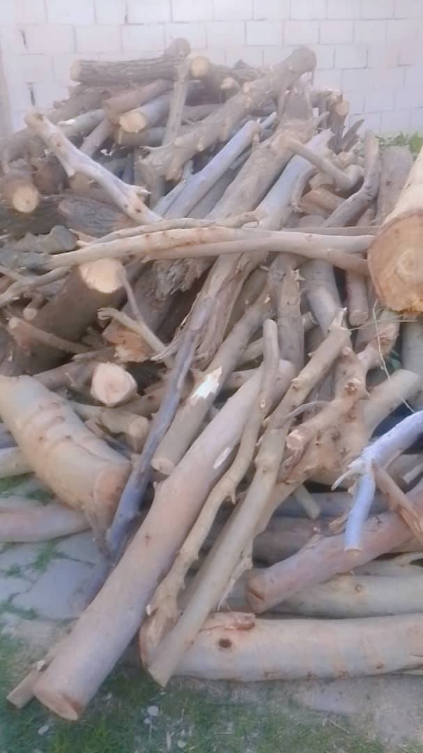 للبيع حطب نبك وكابرس وصفصاف وقلمطوز نص يابس ونص اخضر
***********
