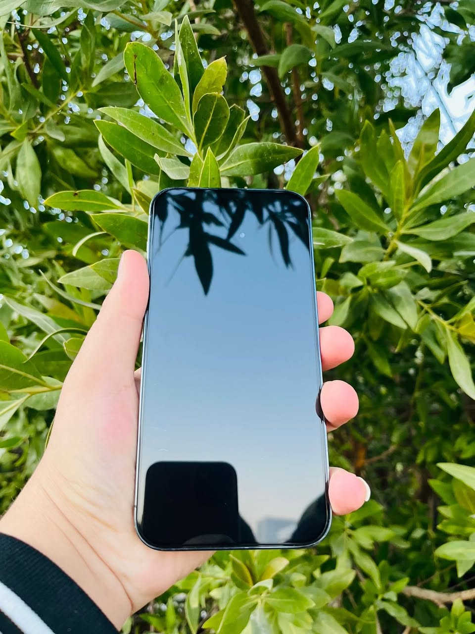 السلام عليكم
آيفون 14 برو ماكس
بطاريه 84 بلادي 
ذاكره 256
كفاله عامه شرط تفحص يالله تاخذه فقط ضهره بي مفطر صغير مثل ماموضح 
عربي شرق اوسط نموذج M 
نضافه 100/100 
لون مميز بنفسجي 
تك سيم كارت 
ملحقاته كامله كارتونه الاصليه و الشاحنه الاصليه 
عنوان نجف حي المهندسين 
لاستفسار اكثر خاص أو لاتصال علا رقم الهاتف 
***********
