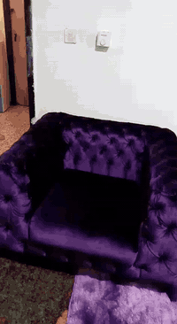 تخم للبيع سعره 600 تلفون ***********
