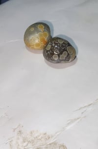 ملاكط سليماني • قطعة • ثنينهن