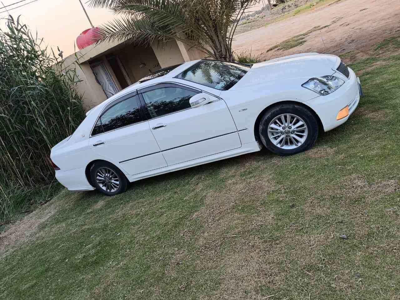 شاهينه للبيع صدفيه فول واحد على واحد كفاله عامه رقم بغداد بسمي السعر ١٢٥ قفل مكان طوريج ***********
