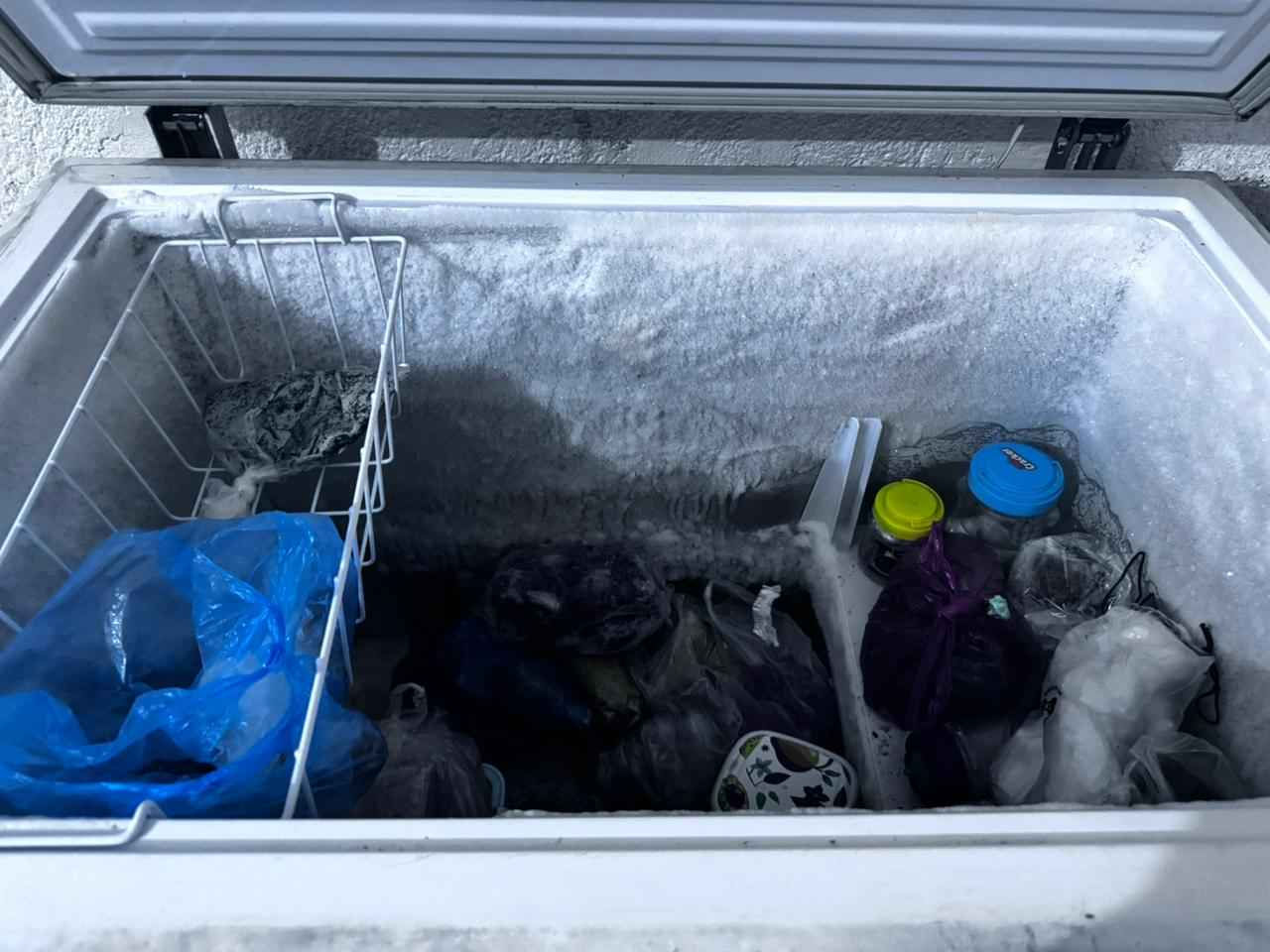 ‎مجمده  نضيفه كلش ب‎ حلة, بابل


**إذا كنت صاحب هذا الإعلان وتريد حذفه لأي سبب، رجاءا أرسل رسالة إلى الدعم الفني**