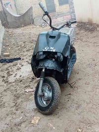فراشة • مراوس • سعر خاص