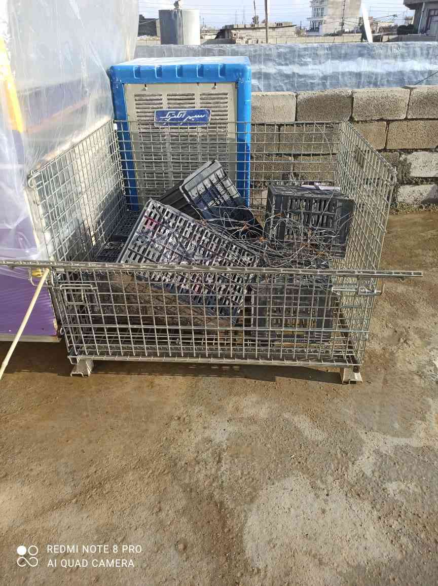 سلاو هاوریان ئه و قه فه زه امریکیه زؤر توکه میه ده ژه ژنگه وه زن 100کیلو ئه بیت بؤفرؤشتن شوین حاجیاوا واساب فای بر *********** رانية, السليمانية
