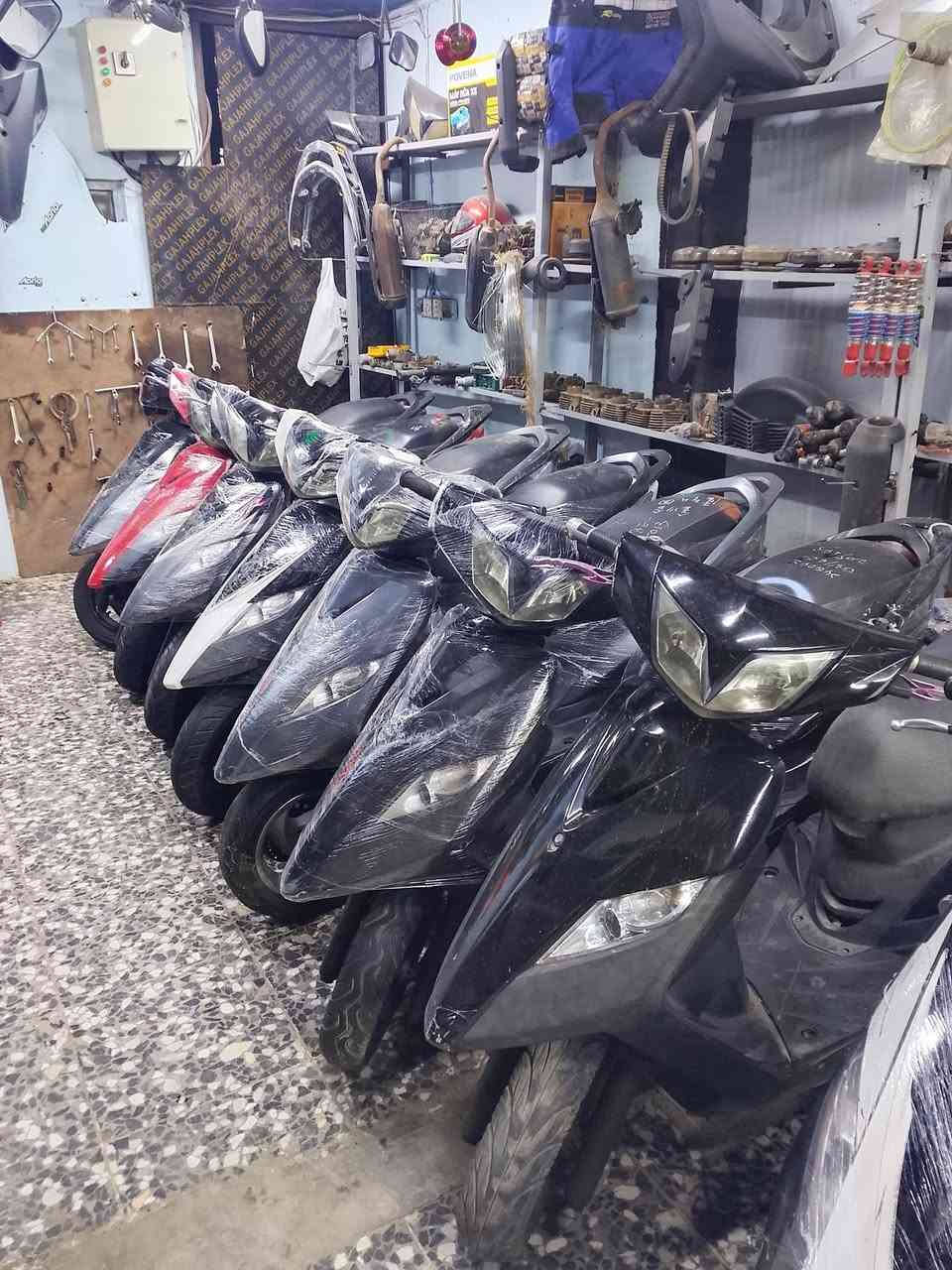 ماكس ثعلب رنبة شرط
بيع شلع عدد 10 تواصل ***********
