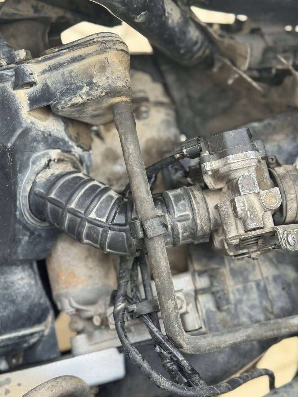 سـكنس للبيـع أو مراوس
يـاباني قبـق نفخ
دشبـول اكتروني 
كفرات خـتم واحد
لون مميز 
ستـاند كهربـئي
ويـل كب تخم تأير جـديد 
السعر 600

(***********)
العنوان دوانيه دغاره
