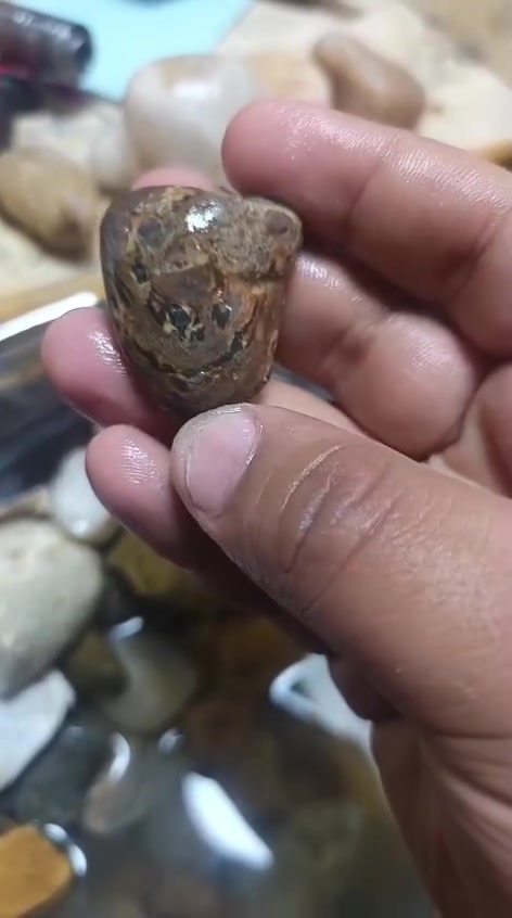 سلطان مصور وجه بشرط للشغل فول سعر على الخاص


**إذا كنت صاحب هذا الإعلان وتريد حذفه لأي سبب، رجاءا أرسل رسالة إلى الدعم الفني**