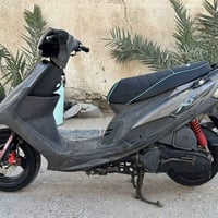 ماكس • كفالة • النجف