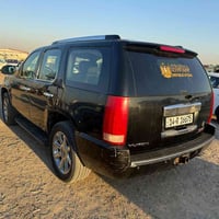 يوكن دنلي • ٢٠١٣ • قطع صبغ